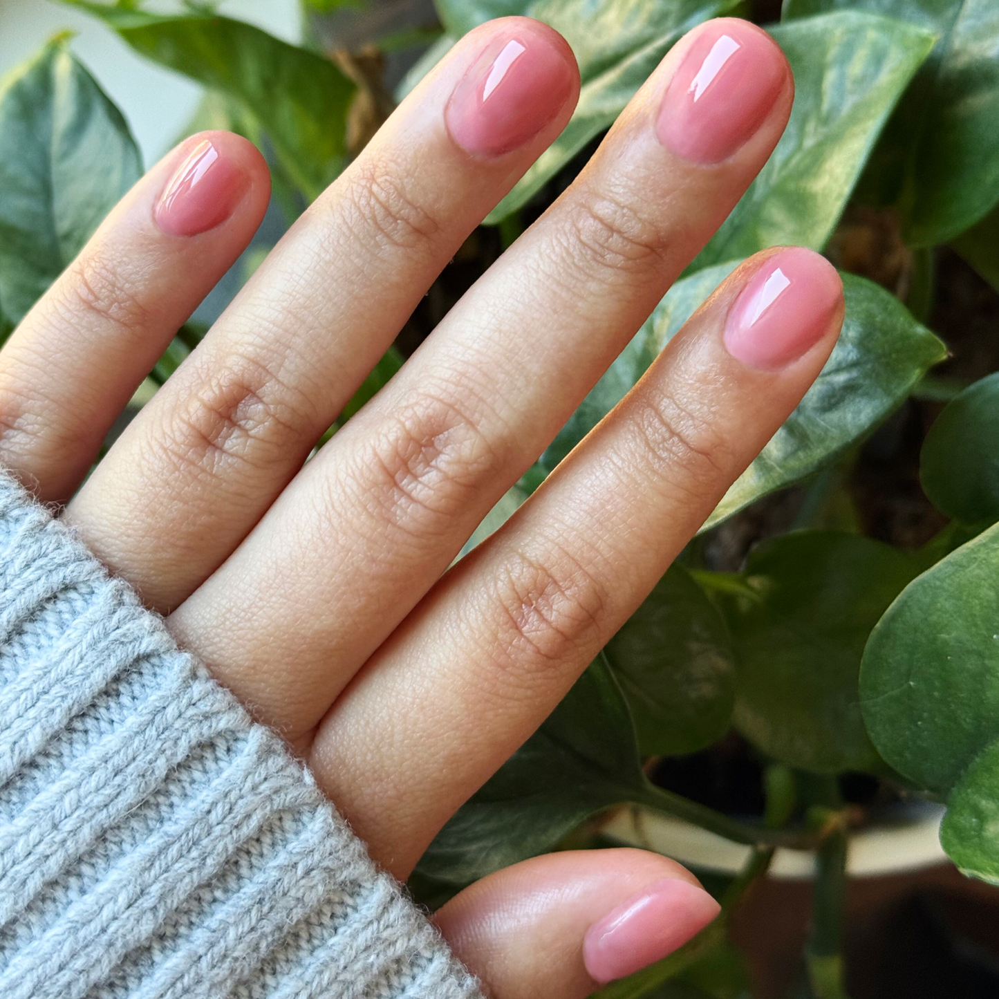 Blush Jelly - Builder Gel smooth sheer rosy pink manicure on short natural nails with glossy finish against green plant background
