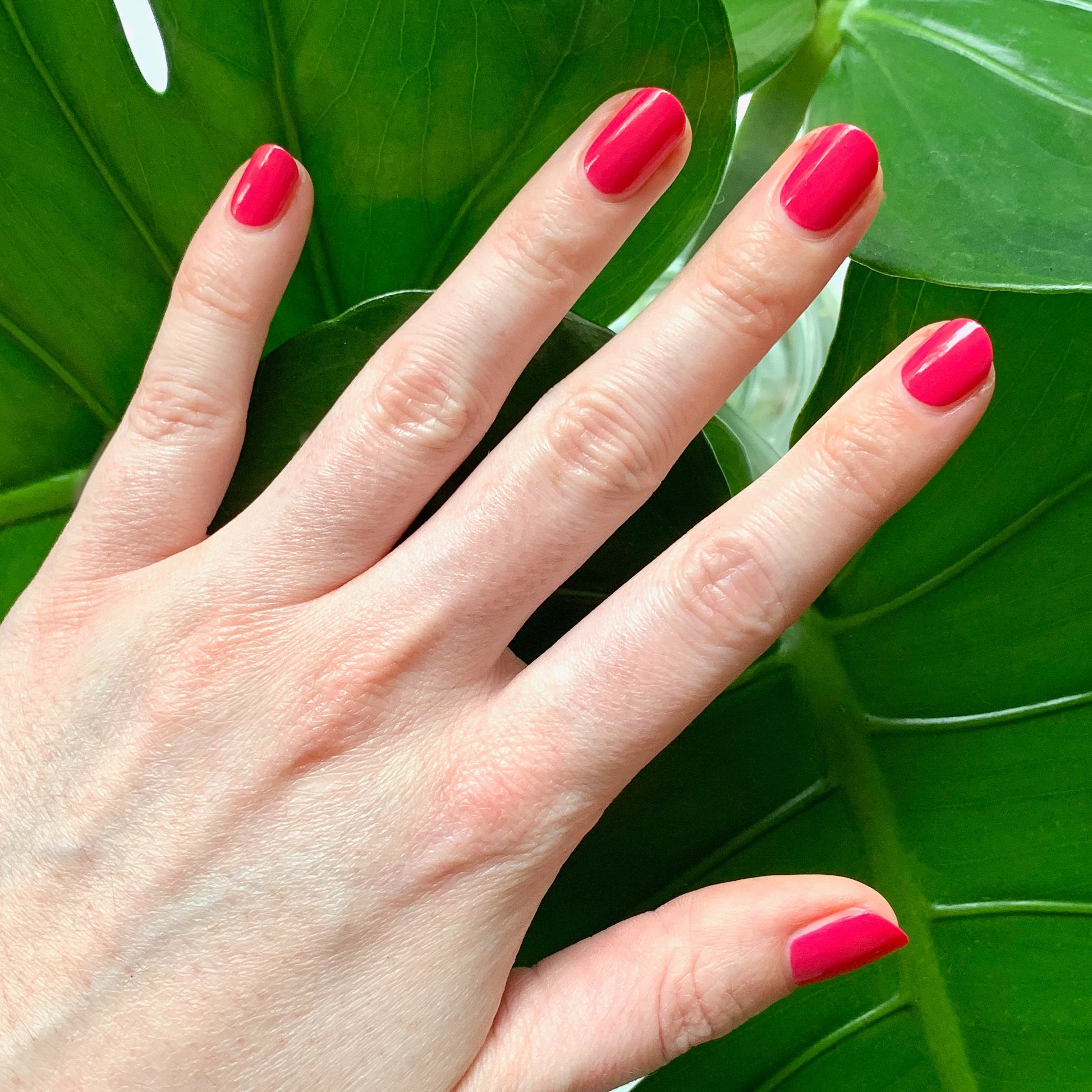 Hand with nails coated in vivid XOXO hot pink polish showcasing a smooth, long-lasting manicure over green leaves background