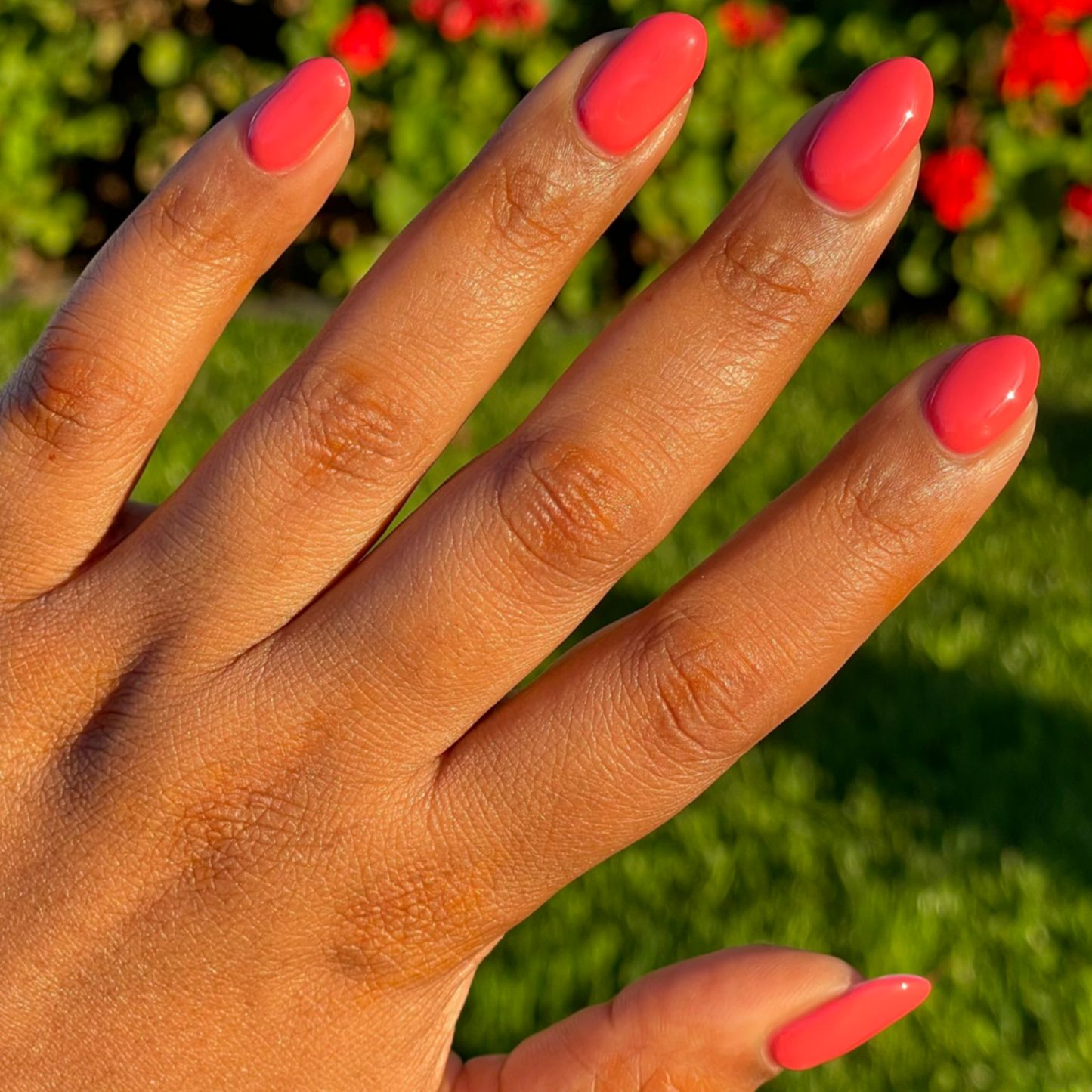 Hand with smooth nails painted in glossy watermelon red using Field Day - Gel polish outdoors on grassy background